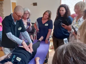 Bowen and Meridians, CPD with Amichay Saller-Fischbach