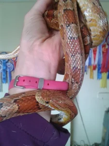 Love of animals led to Bowen… and a new career